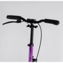 Двухколесный самокат с дисковым тормозом Best Scooter Factor BS-54065 Фиолетовый: Количество колес 2