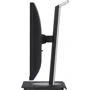 Монитор ViewSonic VG2448A-2: Время реакции, мс 5