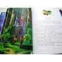 Д. Овсянников: Сказки о Лапландии: ISBN 978-5-9951-5015-2