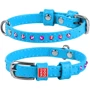 Ошейник WAUDOG Glamour с клеевыми стразами 9 мм 19-25 см голубой (32522)