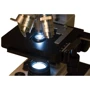 Мікроскоп Bresser Erudit DLX 40x-1000x (5102000): Клас Биологические