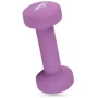 Гантель Hop-Sport Queenfit 2х1 кг фіолетовий: Кількість гантелей, шт 2