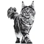 Сухой корм Royal Canin Mature Consult для пожилых котов 1.5 кг (27240159): Порода Все породы
