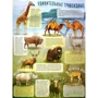 Мария Жученко: Удивительные животные: ISBN 978-966-982-260-4