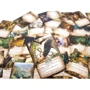 Arkham Horror The Card Game: The Forgotten Age: Вид карточные