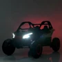 Багги Bambi Racer (M 4920EBLR-RS): Вид багги