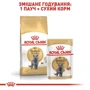 Сухой корм для котов Royal Canin British Shorthair пород британская короткошерстная 2 кг (2557020): Вес упаковки 2 кг