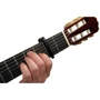 Каподастр PLANET WAVES PW-CP-16: Производитель PLANET WAVES