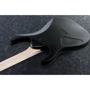 Электрогитара Ibanez RG421EX BKF: Тип крепления грифа Болтовой
