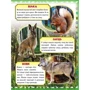 Моя перша книжка. Про диких тварин: ISBN 978-966-913-531-5