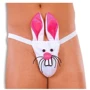 Мужские трусы SoftLine - Thong 4442, S-L (white)