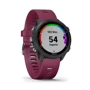 Смарт-часы Garmin Forerunner 245 Black/Wine Red: Производитель Garmin