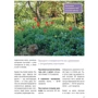 Стильный цветник. Популярная энциклопедия: Количество страниц 192