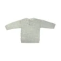 Джемпер H & M 9Z6297198 68 см сірий: Стать дівчинка