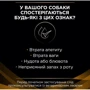 Влажный корм для собак Pro Plan Veterinary Diets NF Патологии почек 400 г (7613035181465): Вес упаковки 4.8 кг