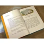 Виктория Ледерман: Светлик Тучкин и украденные каникулы: ISBN 978-5-00083-650-7