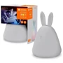 Ночной светильник LEDVANCE NIGHTLUX TOUCH LED 2,5W Rabbit, micro-USB, RGBW: Назначение В детскую
