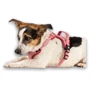 Шлея Max & Molly Smart ID Sport Harness Matrix 2.0 Rose/M 48-65 см розовая (4255636810264) фото 6
