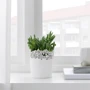 Кашпо ІКЕА SAMVERKA 9 см (50388739): Производитель Ikea
