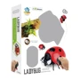 Радіокерована іграшка Best Fun Toys Сонечко (6337205): Виробник Best Fun Toys