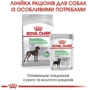 Сухой корм Royal Canin Digestive Care Maxi Adult для собак крупных пород с чувствительным пищеварением 12 кг (3055120): Свойства Забота о коже и шерсти, Основное питание, Забота о пищеварении