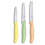 Набор кухонных ножей Victorinox SwissClassic Paring Set 3 пр. (6.7116.34L2): Материал рукояти полипропилен