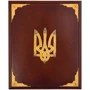 Михайло Грушевський: Ілюстрована історія України (в коробці) фото 10