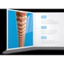 Струна для гітар Набір струн D'addario XSAPB1253 XS Phosphor Bronze Light (12-53): В комплекті Набор из 6 струн