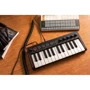 MIDI-клавиатура IK MULTIMEDIA IRIG KEYS2 Mini: Размер клавиш Малоразмерные