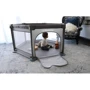 Манеж детский Dreambaby Taupe (G9496): Производитель Dreambaby