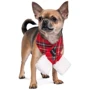 Шарф Pet Fashion "Happy" M-XL (4823082423576): Тип Шарфы