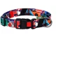 Ошейник HiDog USA L 25 мм 35-45 см разноцветный (104\1017)
