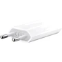 Зарядний пристрій Apple USB Wall Charger AC 1400mA (MD813ZM/A): Тип мережеве