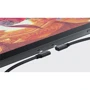Графический планшет XP-Pen Artist Pro 19 (Gen 2) 4K black, 16.9", 5080 LPI, 16384 levels, 3840x2160 фото 9