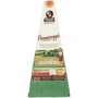 Сыр Parmigiano Reggiano 30 мес, 250 г (DL17720)