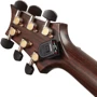 Хроматический тюнер PLANET WAVES PW-CT-21: Тип Тюнеры