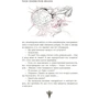 Ніколас Димитров: Дилер реальності: ISBN 978-617-09-5827-3