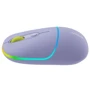 Мишка Canyon MW-22 Dual Band RGB Wireless Mountain Lavender (CNS-CMSW22ML): Ергономіка симметричная для левшей