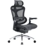Офисное кресло Sihoo DORO C300 Pro Mesh Black (DORO-C300-PRO-M101)