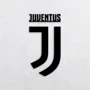 Настенный декор Деревянное панно Wortex Woods FC Juventus 50x25 (WALL51004-50x25)