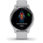 Смарт-годинник Garmin Venu 2S Silver Stainless Steel Bezel with Mist Gray Case and Silicone Band (010-02429-02): Карти пам'яті немає
