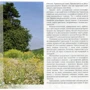 Геологія Тернопілля у світлинах. Фотоальбом: Количество страниц 80