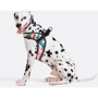 Шлея HiDog Comfort Japan 36-42 см S разноцветная (137\1015) фото 5