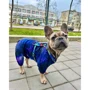 Шлей для собак анатомічний H-подібний WAUDOG Nylon з QR-паспортом малюнок Патрон L, Ш 25 мм, А 50-90, В 60-100 (322-4025) фото 6