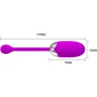 Виброяйцо Pretty Love Brook vibrating Egg