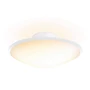 Потолочный светильник Philips COL-Phoenix-ceiling lamp-Opal white (31151/31/PH) фото 1