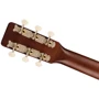 Гітара акустична GRETSCH JIM DANDY PARLOR FRONTIER STAIN: Тип Акустическая гитара