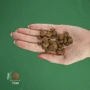 Сухий корм Bravery Adult Cat Sterilized для дорослих стерилізованих котів з лососем 600 гр (7715 BR SALM STER_600 GR): Тип Сухой корм