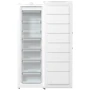Морозильна камера Gorenje FN619FEW5: Кількість дверей 1
