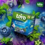 Чай Loyd фруктовый Blackberry and Blueberry ежевика и черника 20х2 г (3103576) фото 1